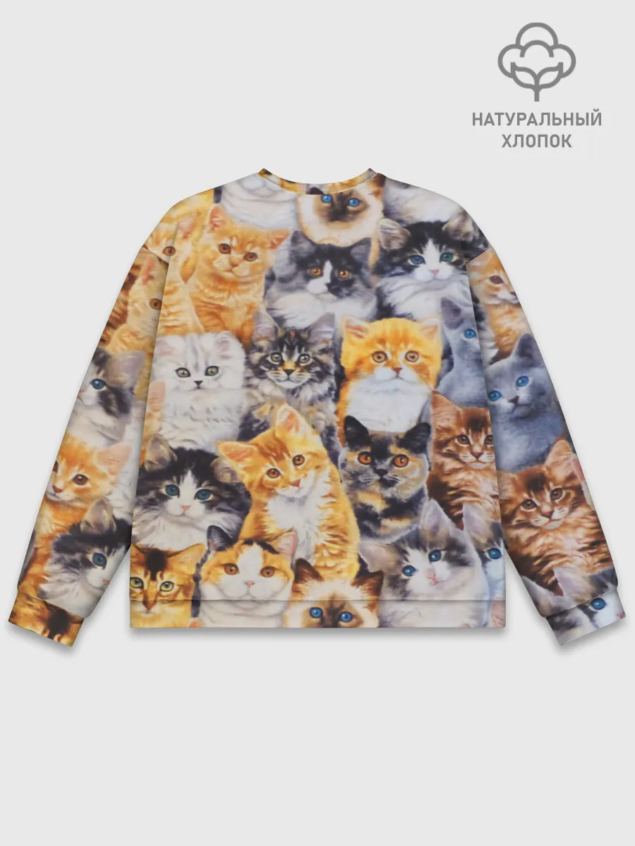 Мужской свитшот базовый / КОТЯТКИ