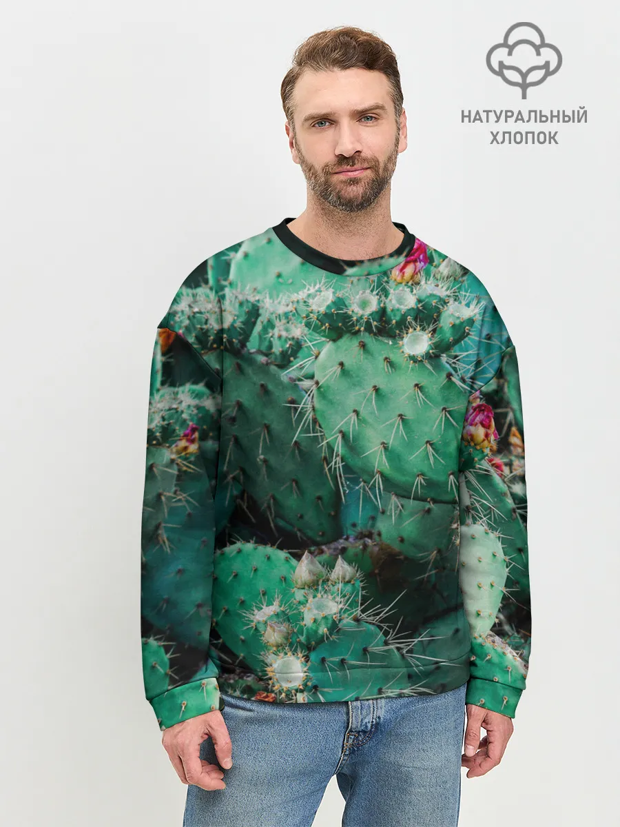 Мужской свитшот базовый / кактусы с цветами реализм