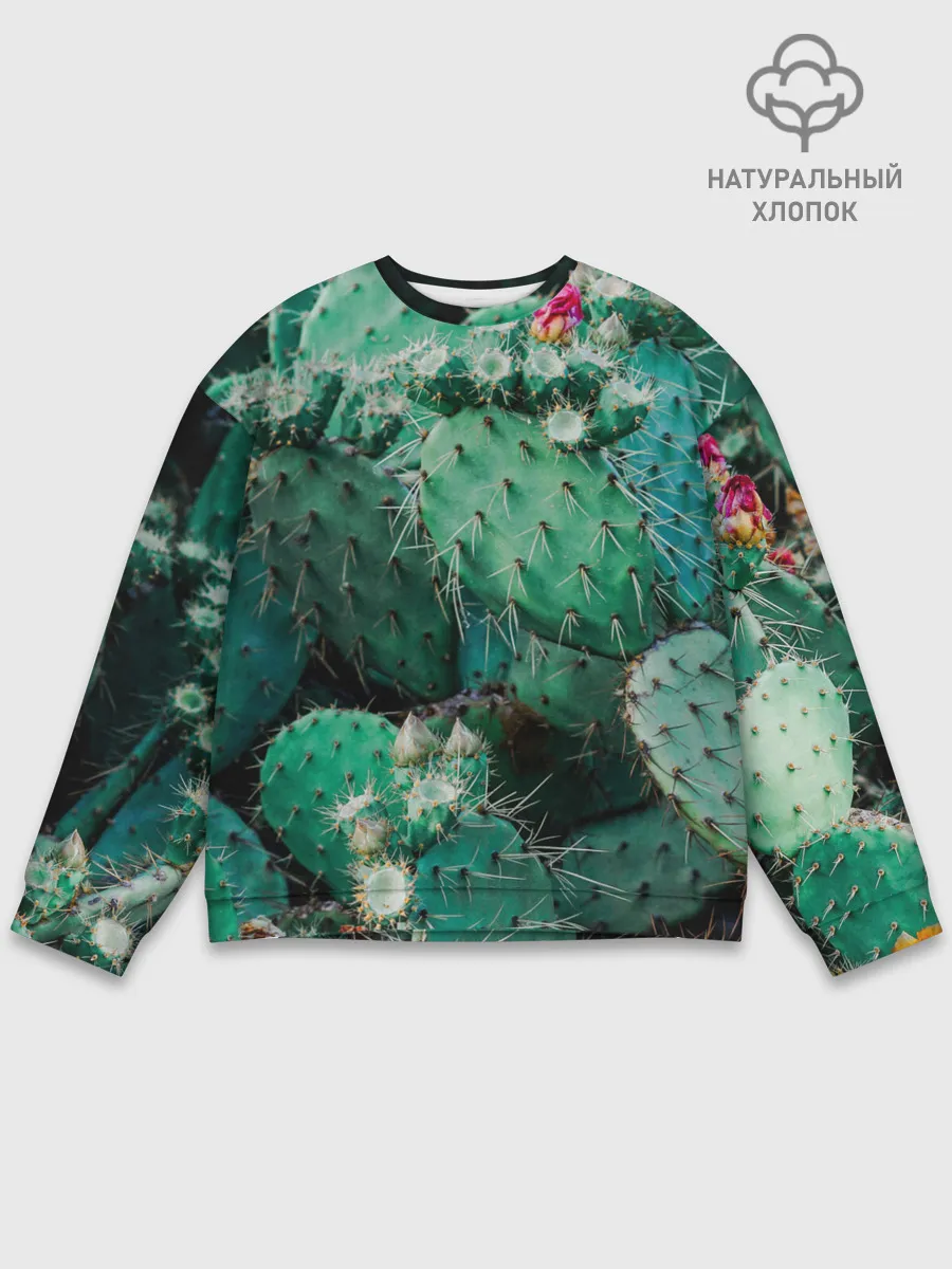 Мужской свитшот базовый / кактусы с цветами реализм