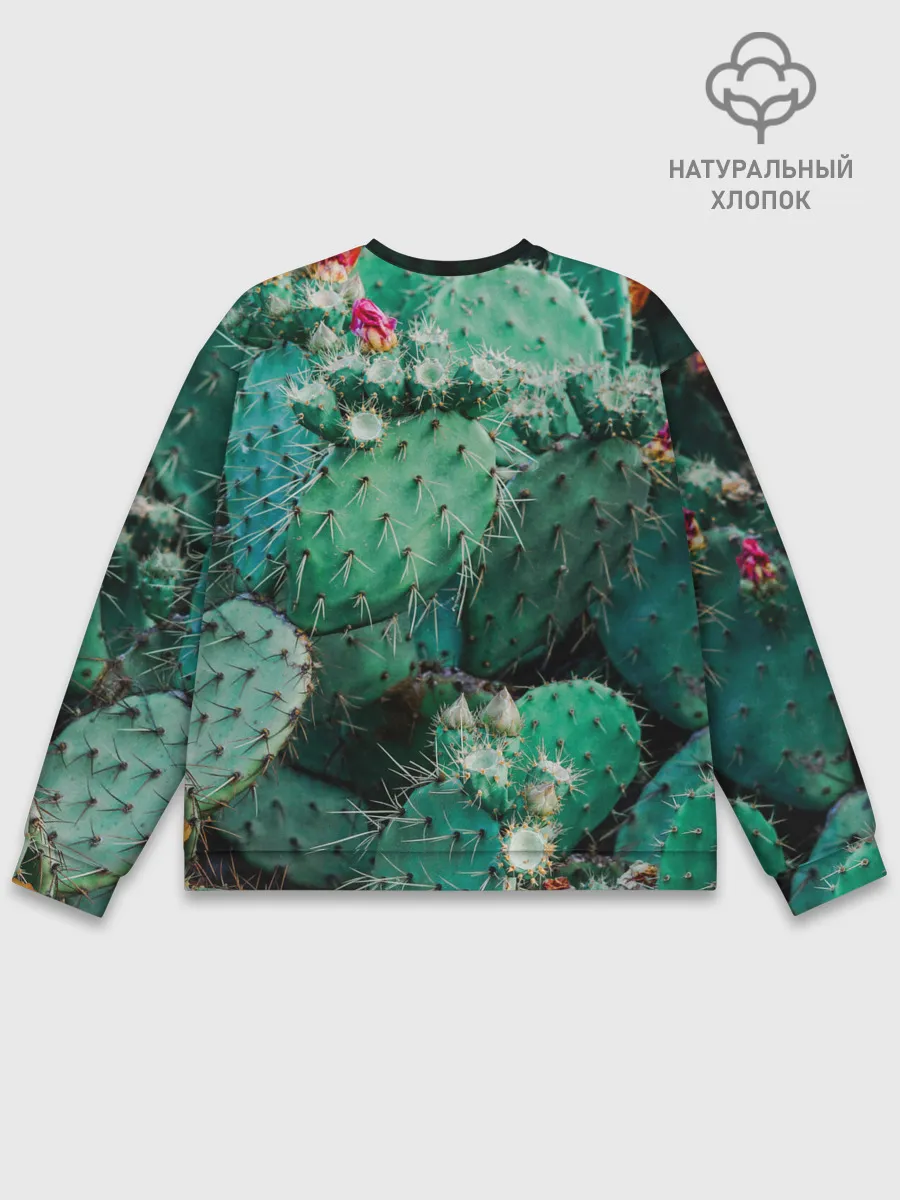 Мужской свитшот базовый / кактусы с цветами реализм