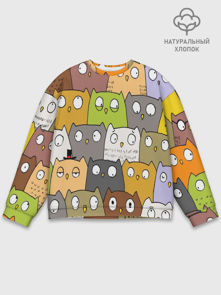 Мужской свитшот базовый / СОВЫ КОТИКИ