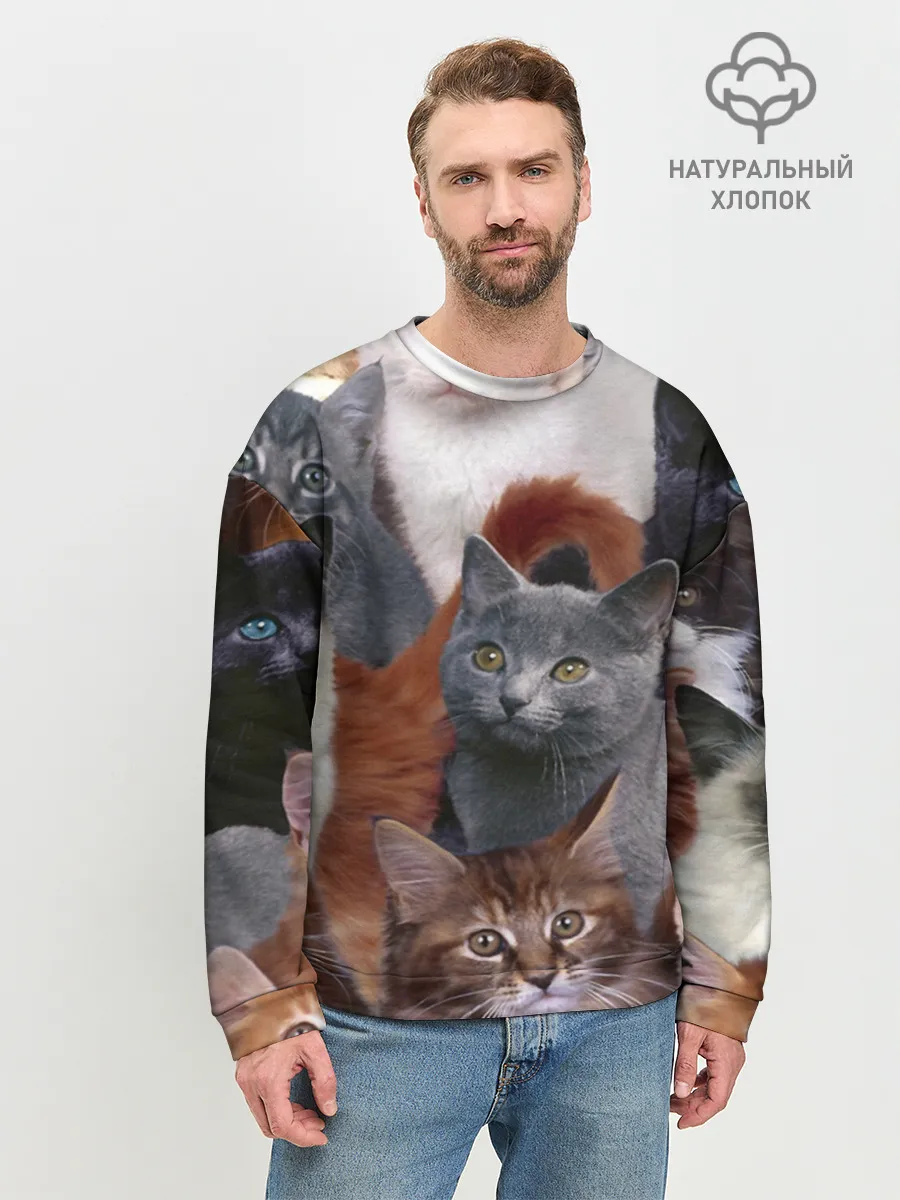 Мужской свитшот базовый / КОТЯТКИ