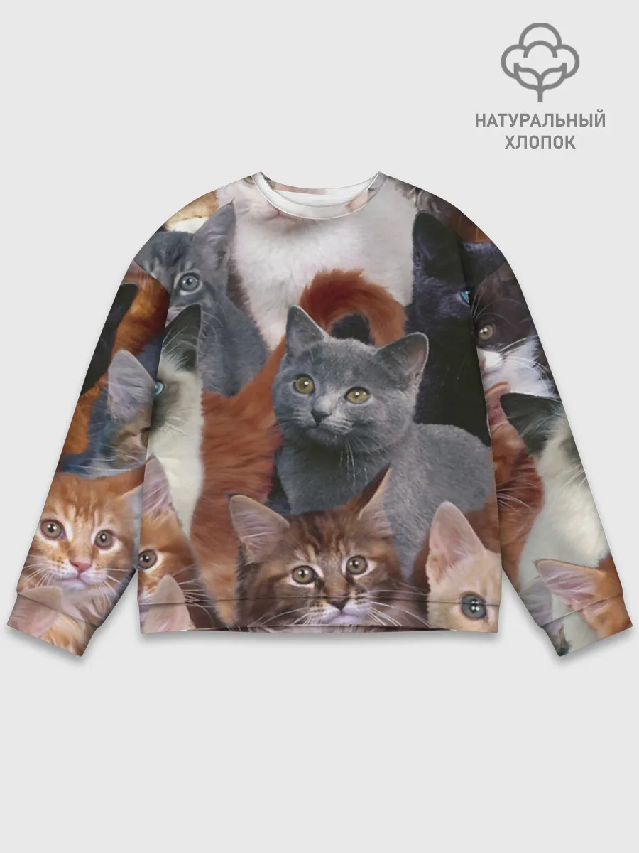 Мужской свитшот базовый / КОТЯТКИ