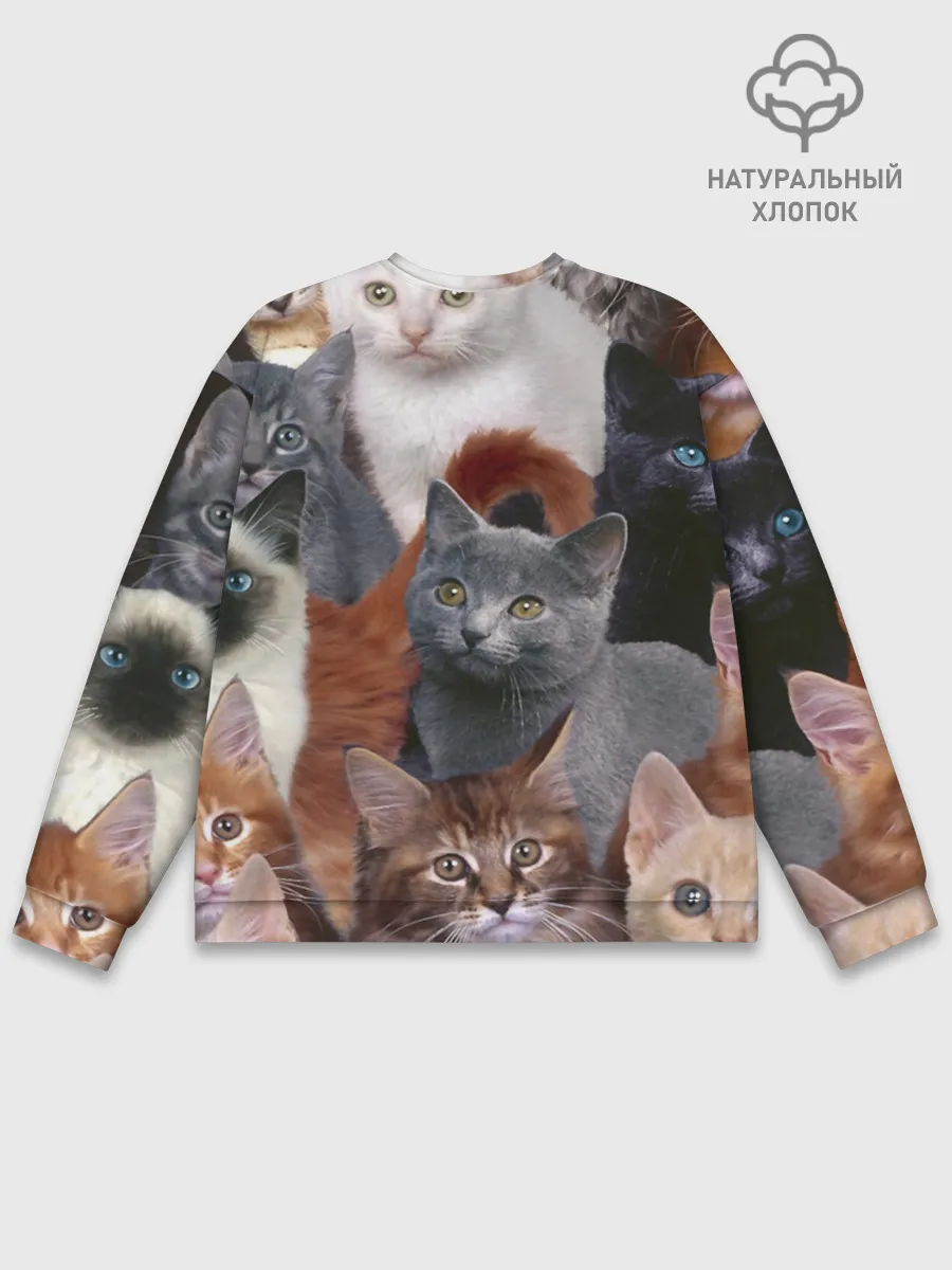 Мужской свитшот базовый / КОТЯТКИ