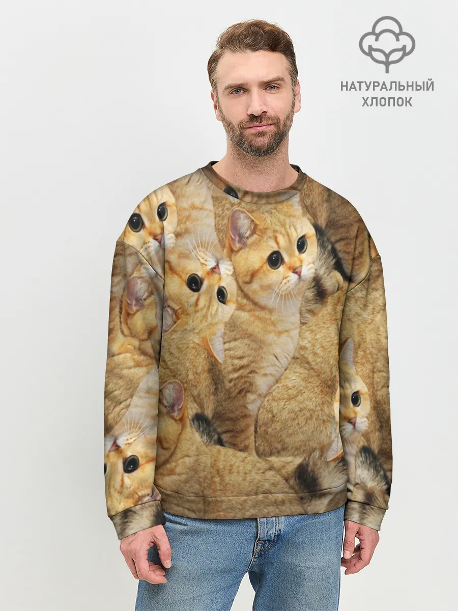 Мужской свитшот базовый / КОТЯТУШКИ