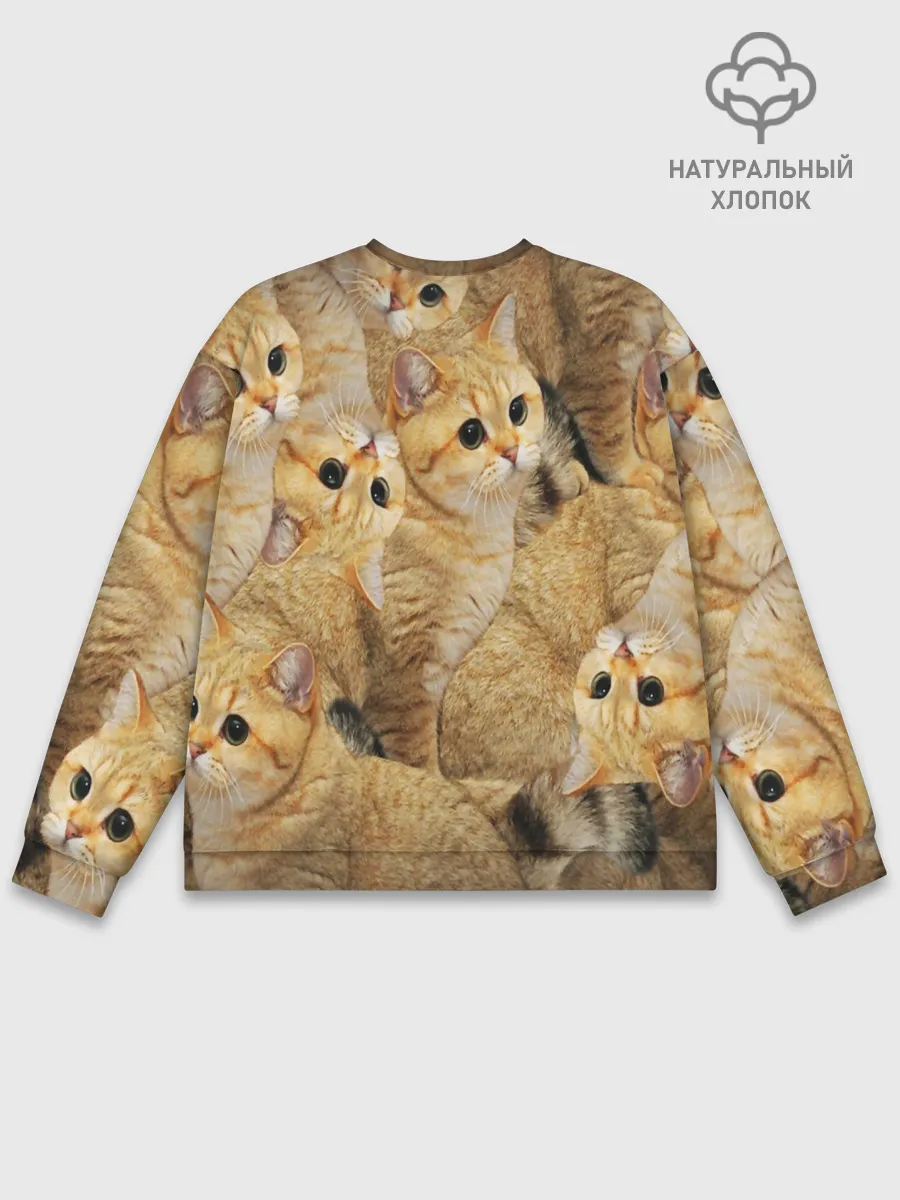 Мужской свитшот базовый / КОТЯТУШКИ