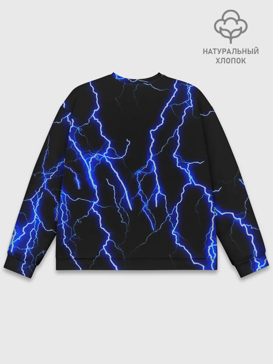 Мужской свитшот базовый / МОЛНИИ