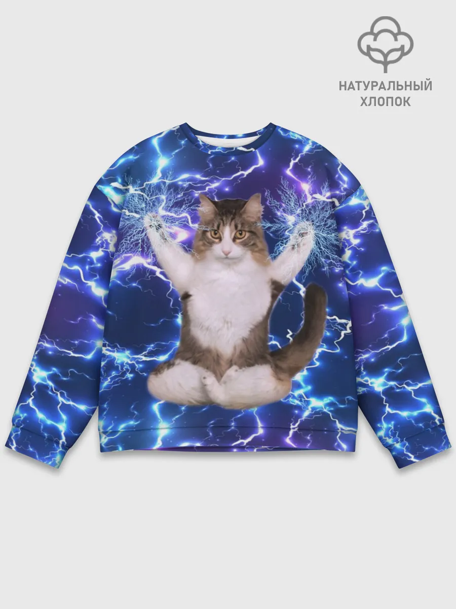 Мужской свитшот базовый / Грозовой Котик