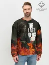 Мужской свитшот базовый / THE LAST OF US 2