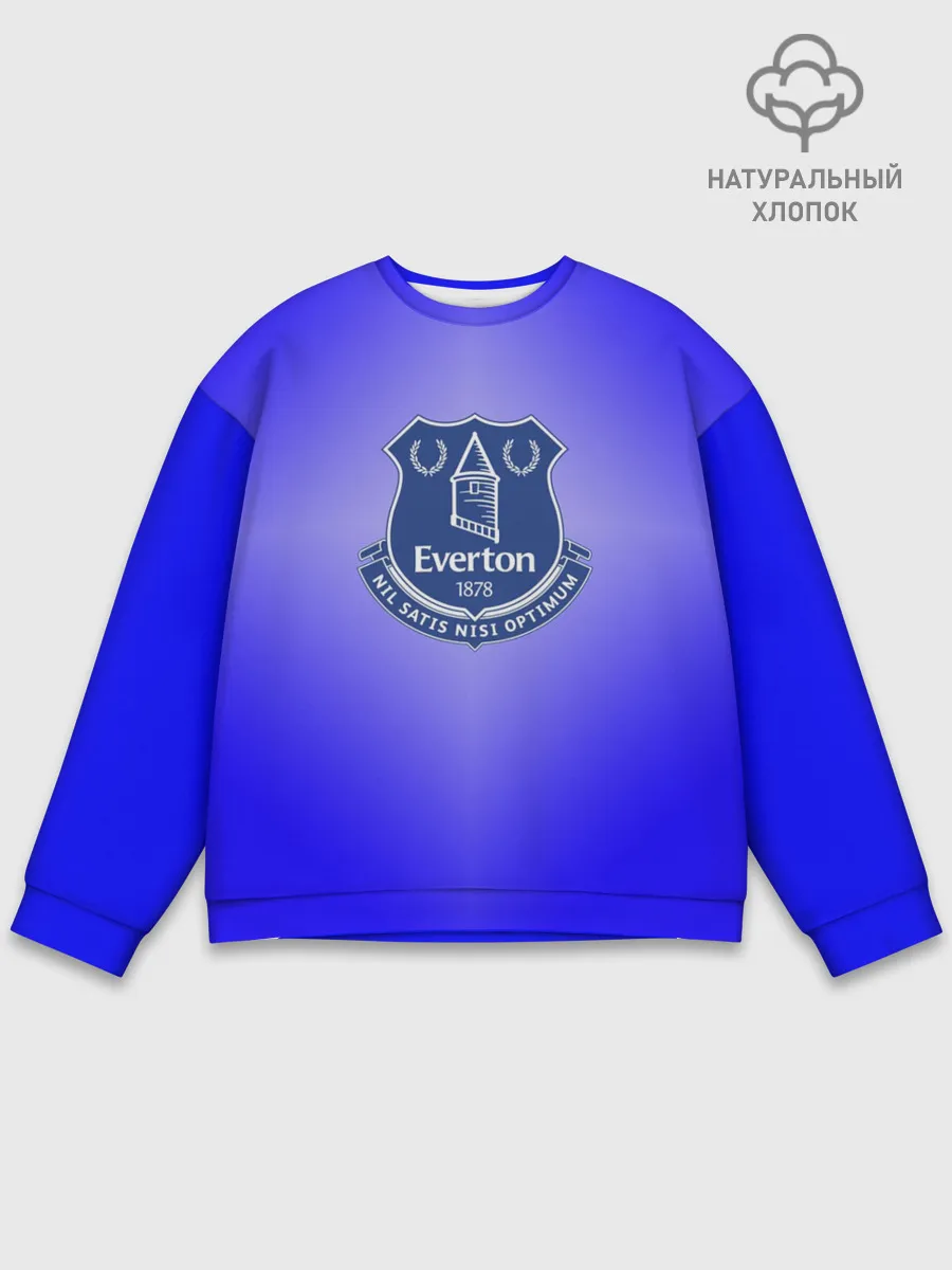Мужской свитшот базовый / Эвертон 3D