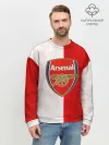 Мужской свитшот базовый / FC Arsenal 3D