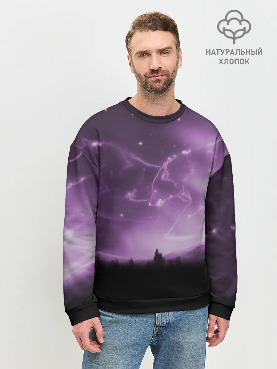 Мужской свитшот базовый / ВОЛКИ СОЗВЕЗДИЯ