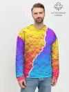 Мужской свитшот базовый / Цветные переливы