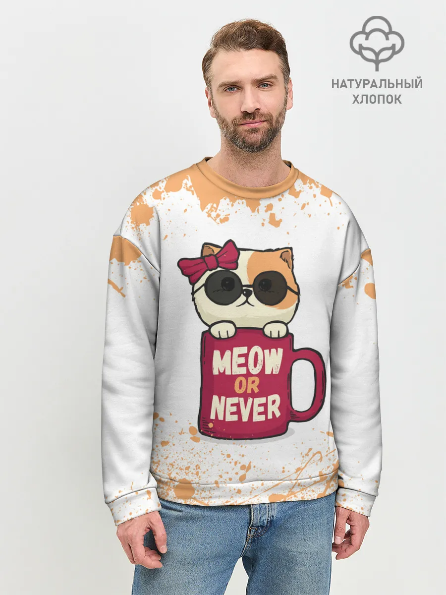 Мужской свитшот базовый / МИЛЫЙ КОТЕНОК | CUTE KITTEN
