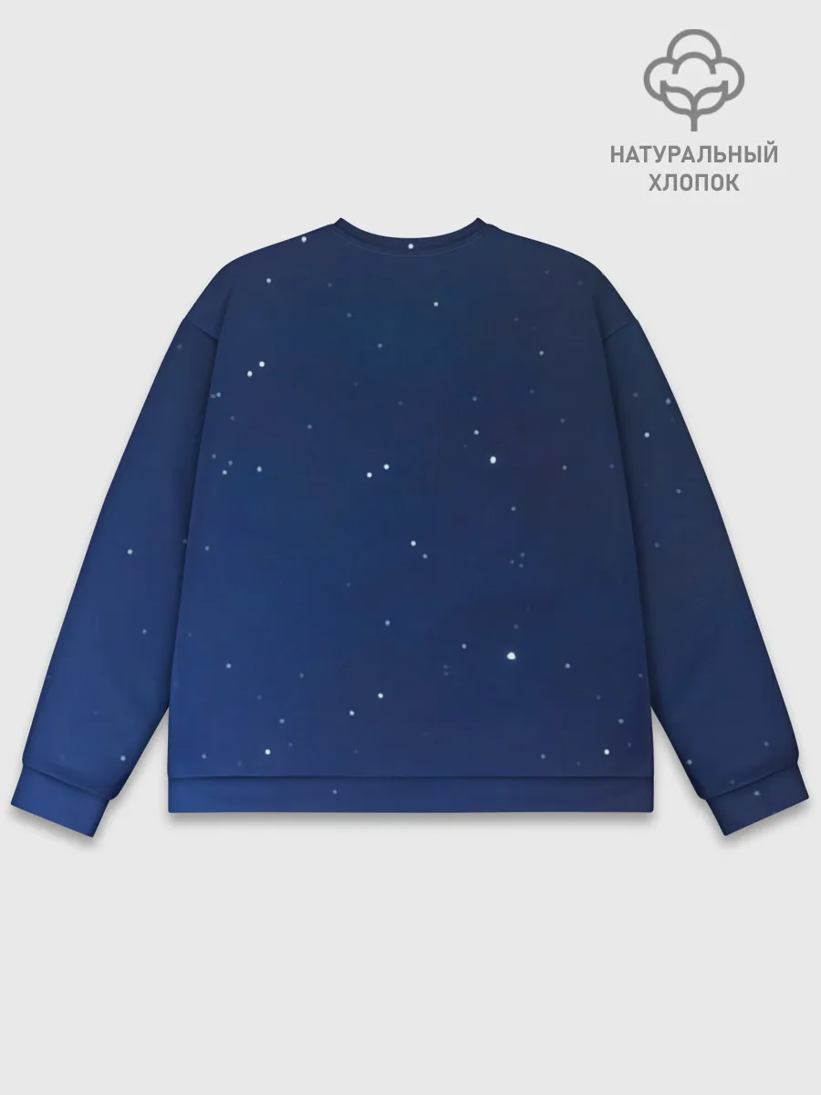 Мужской свитшот базовый / Dark Voyager