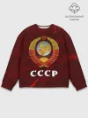 Мужской свитшот базовый / СССР / USSR