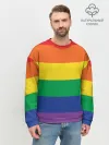 Мужской свитшот базовый / Радуга