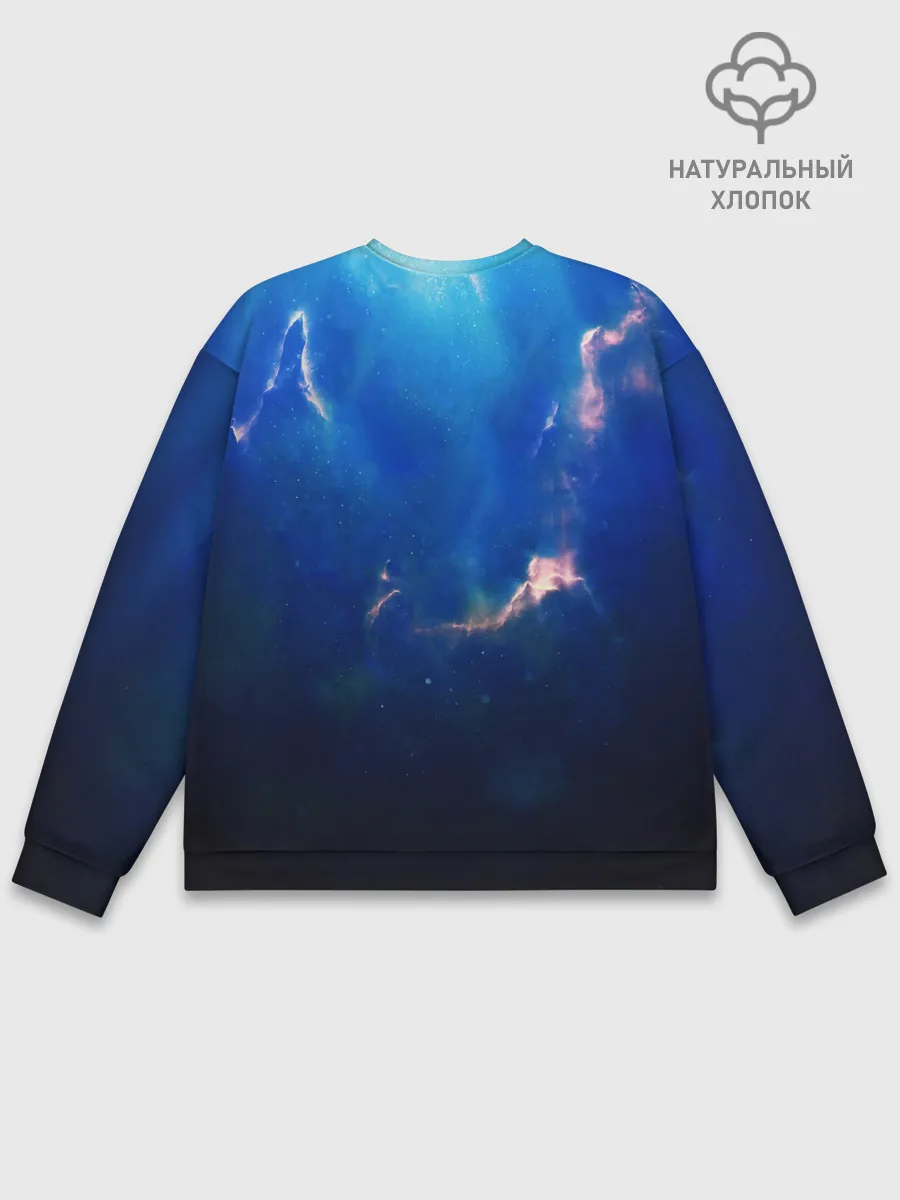 Мужской свитшот базовый / ПАДЕНИЕ В БЕЗДНУ