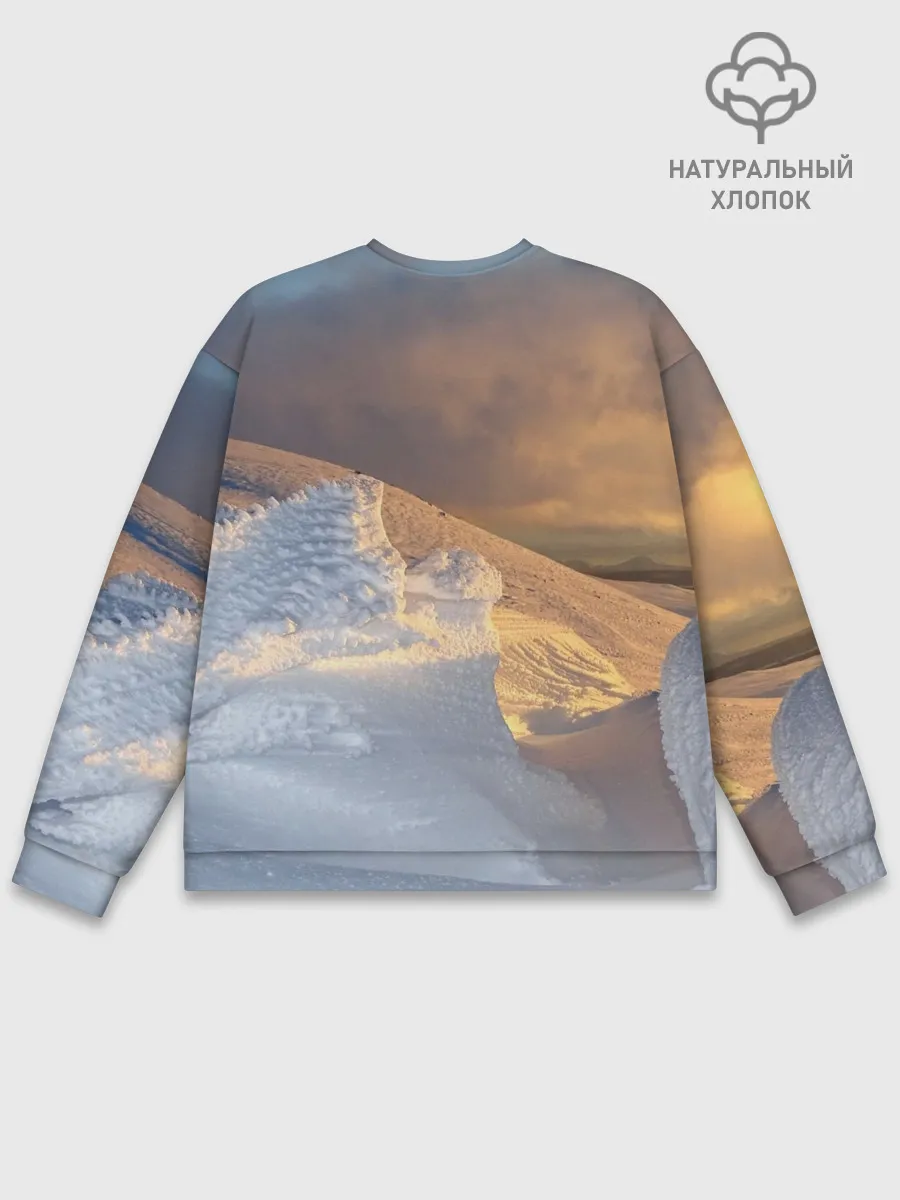 Мужской свитшот базовый / Снежная долина