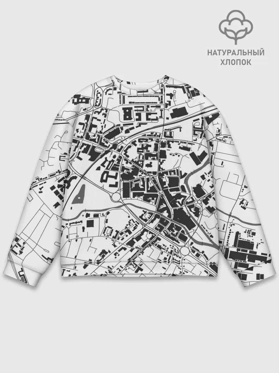 Мужской свитшот базовый / генплан