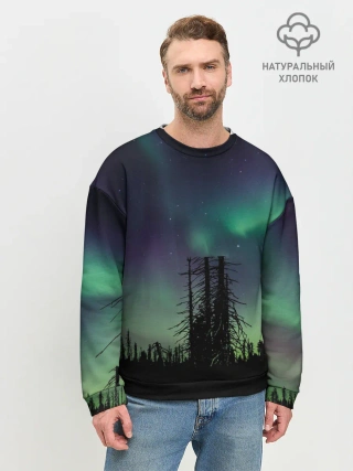 Мужской свитшот базовый / Северное сияние