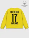 Мужской свитшот базовый / HAALAND Borussia Dortmund