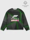 Мужской свитшот базовый / Forza Horizon 4 Hi-tech
