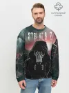 Мужской свитшот базовый / Stalker 2 Зона