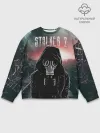 Мужской свитшот базовый / Stalker 2 Зона