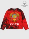 Мужской свитшот базовый / СССР / USSR
