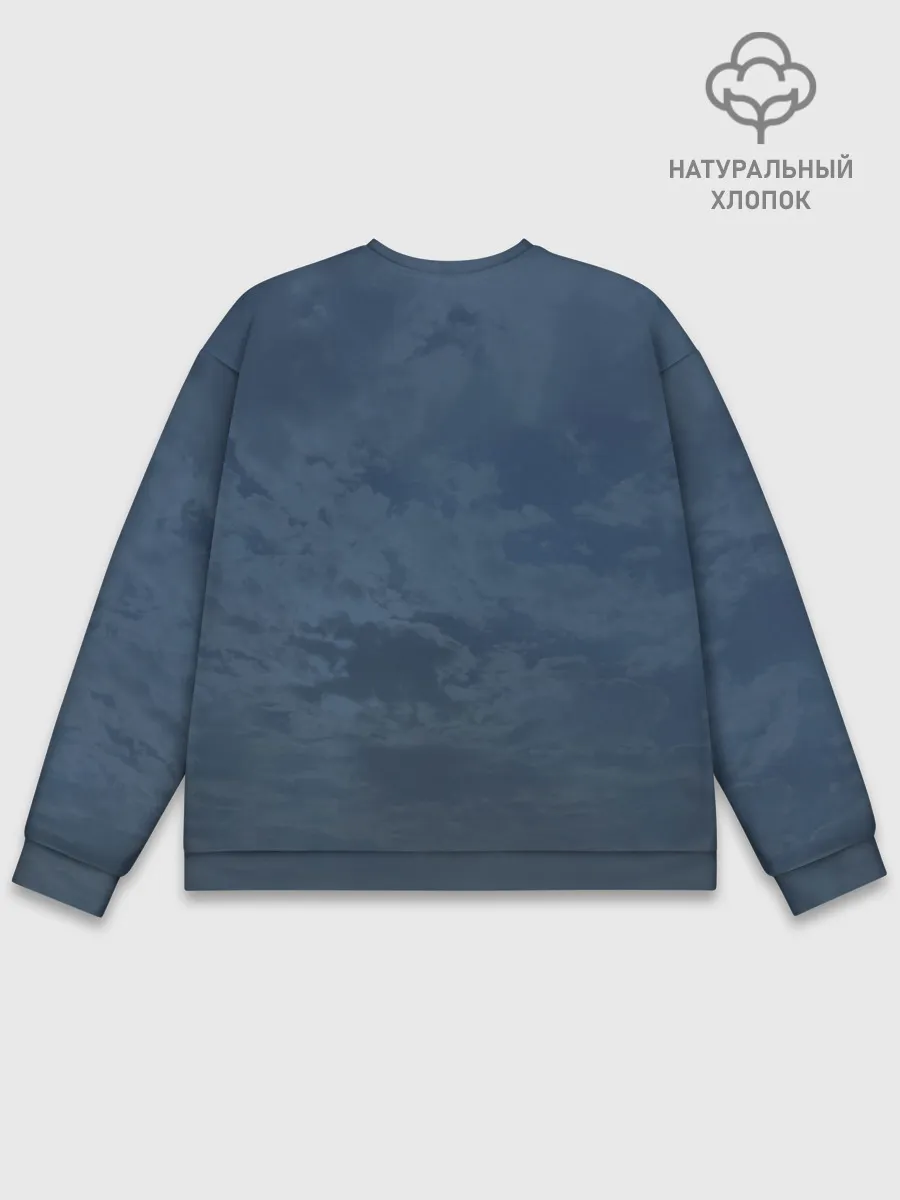 Мужской свитшот базовый / 2610535