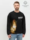 Мужской свитшот базовый / NASA