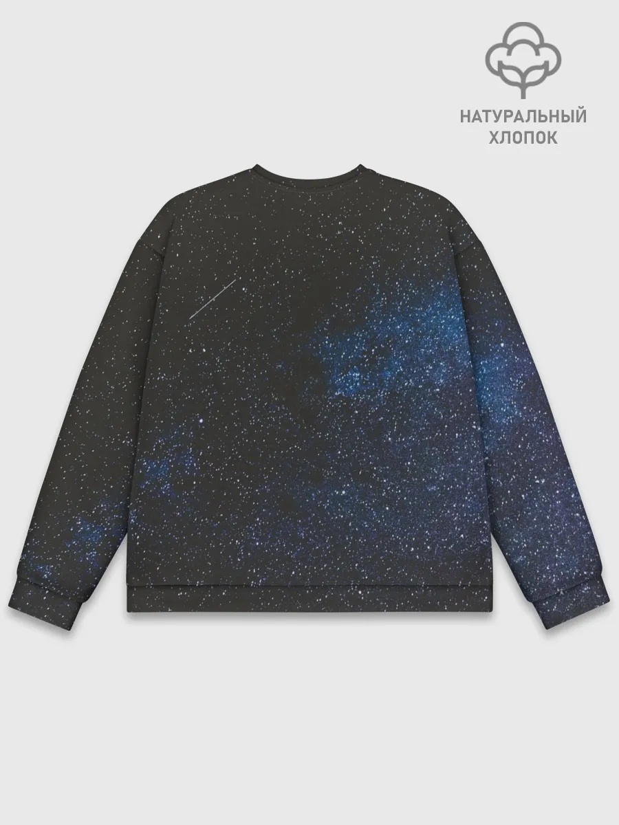 Мужской свитшот базовый / galaxy BoJack