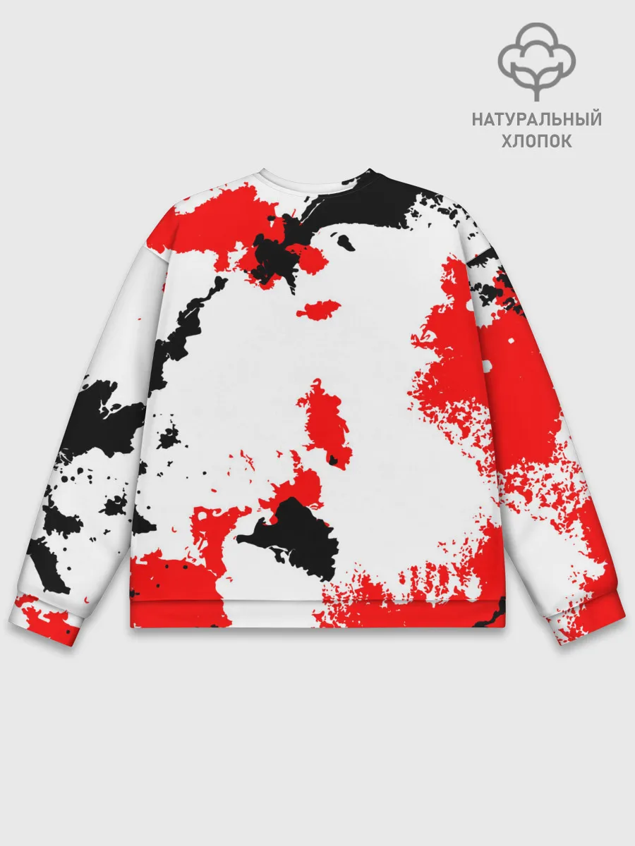 Мужской свитшот базовый / FC Borussia