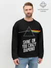 Мужской свитшот базовый / PINK FLOYD