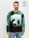 Мужской свитшот базовый / Панда