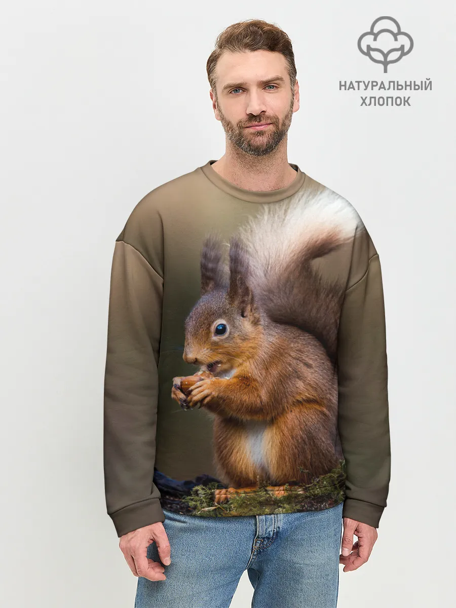 Мужской свитшот базовый / Белка