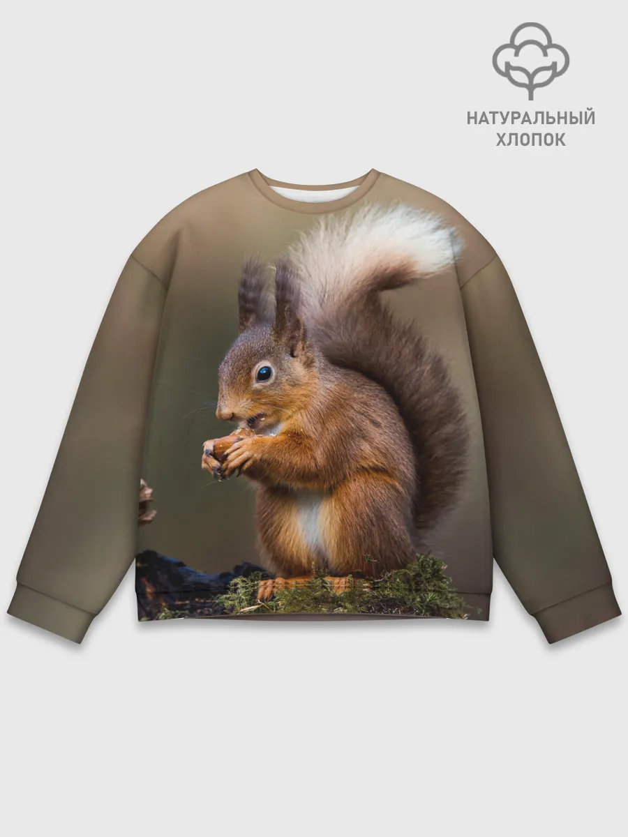 Мужской свитшот базовый / Белка