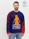 Мужской свитшот базовый / PUBG / ПАБГ