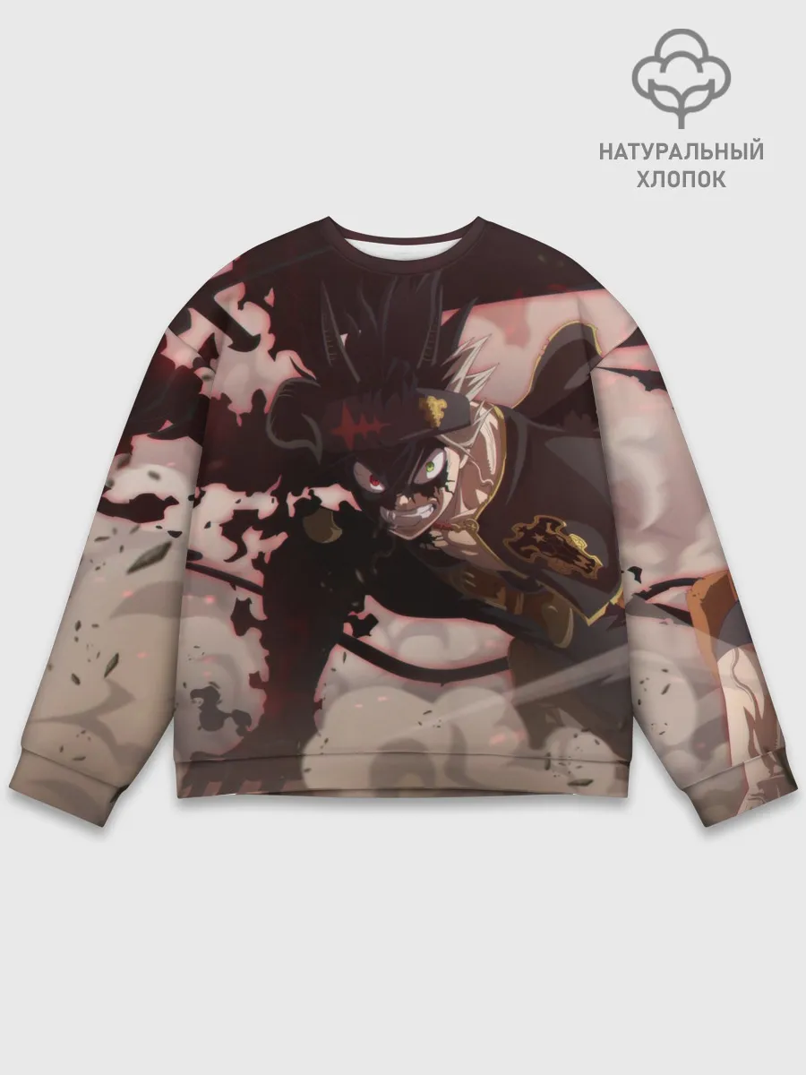 Мужской свитшот базовый / Астер в боевой позе