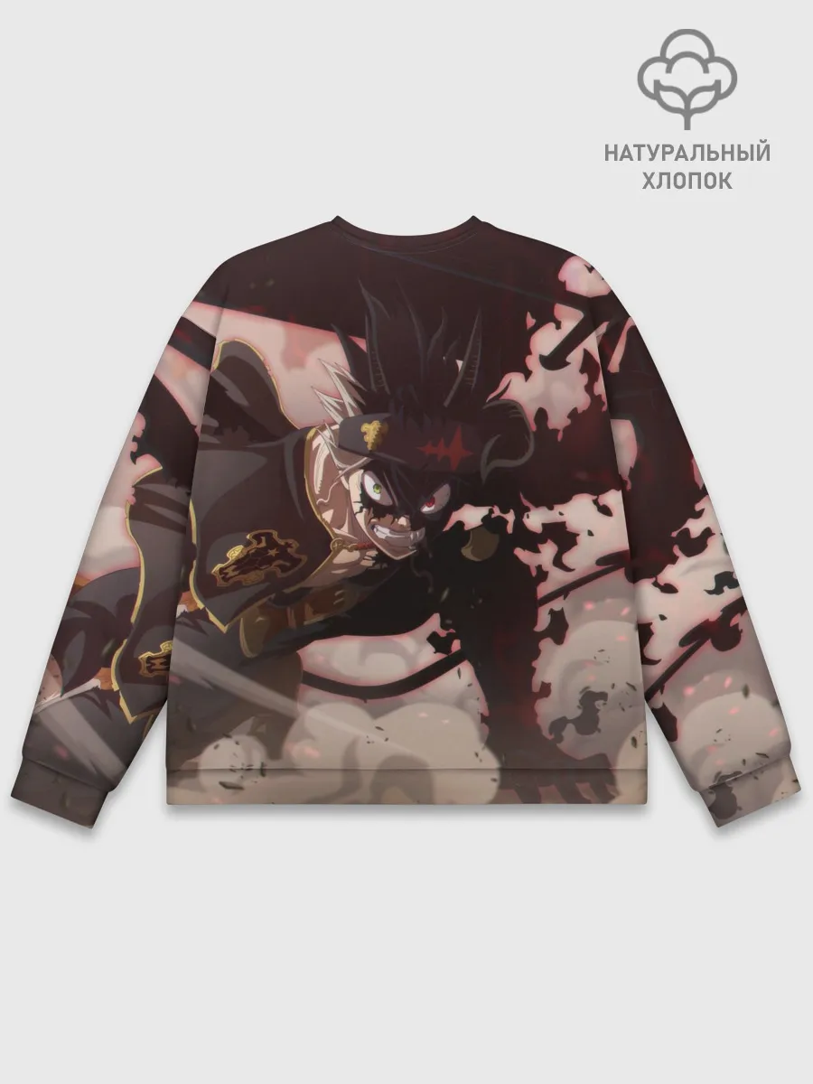 Мужской свитшот базовый / Астер в боевой позе