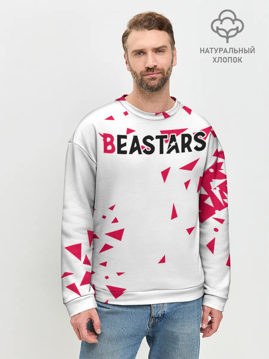 Мужской свитшот базовый / Beastars треугольники
