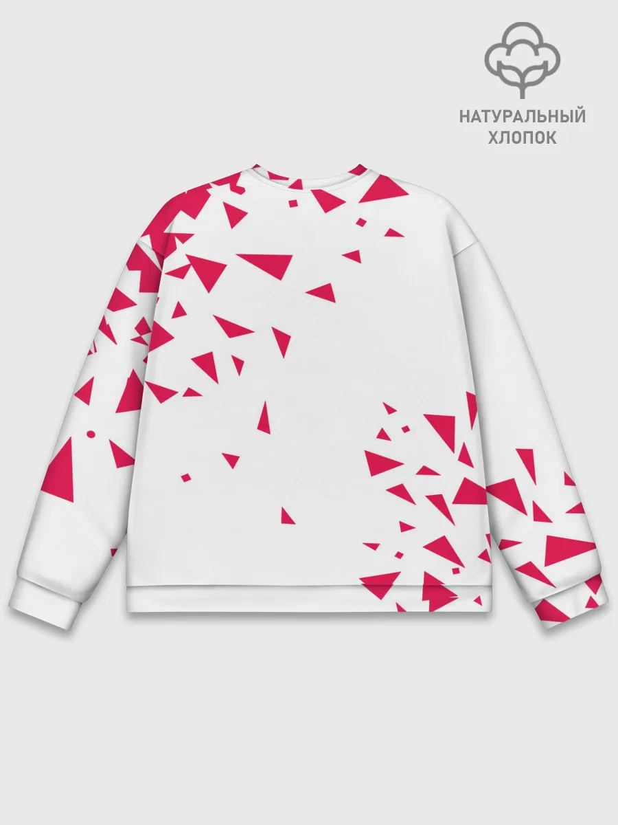 Мужской свитшот базовый / Beastars треугольники