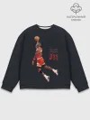 Мужской свитшот базовый / MICHAEL JORDAN