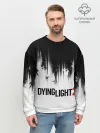 Мужской свитшот базовый / Dying Light 2