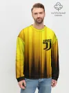 Мужской свитшот базовый / JUVENTUS