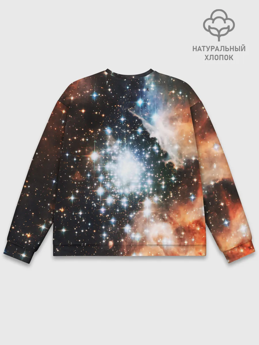 Мужской свитшот базовый / COSMO STAR