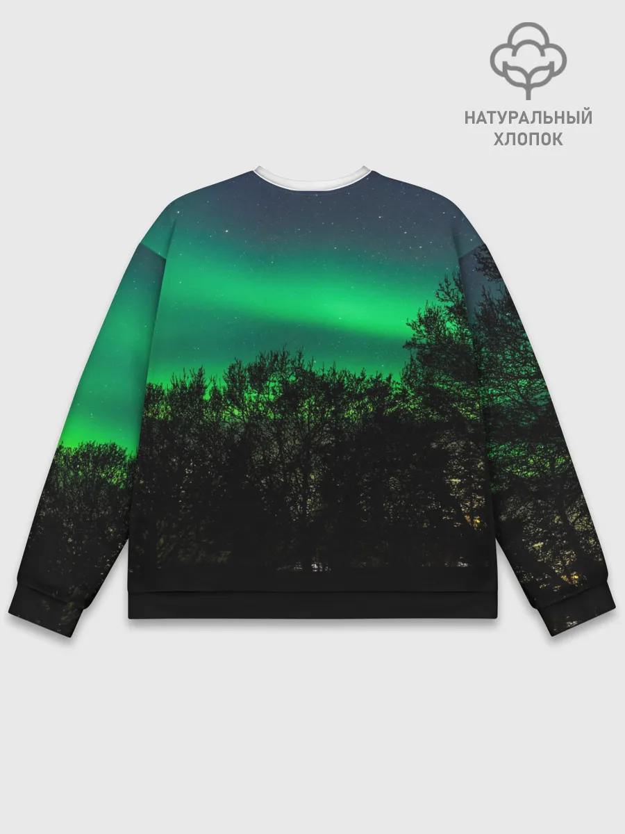 Мужской свитшот базовый / Северное сияние