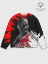 Мужской свитшот базовый / MICHAEL JORDAN