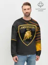 Мужской свитшот базовый / Lamborghini